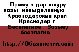Приму в дар шкуру козы (невыделанную)  - Краснодарский край, Краснодар г. Бесплатное » Возьму бесплатно   